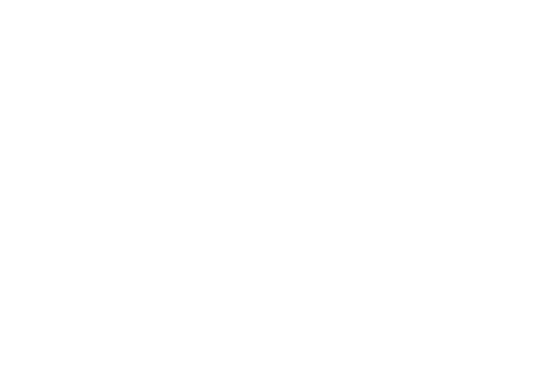 有限会社平尾重機 ロゴ